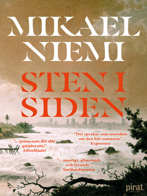 cover image of Sten i siden